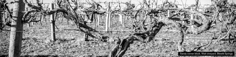 Terroir in a Juxtaposed context.