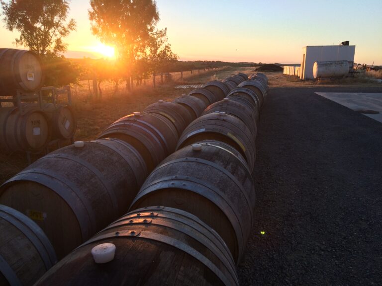 End of Vintage 2021